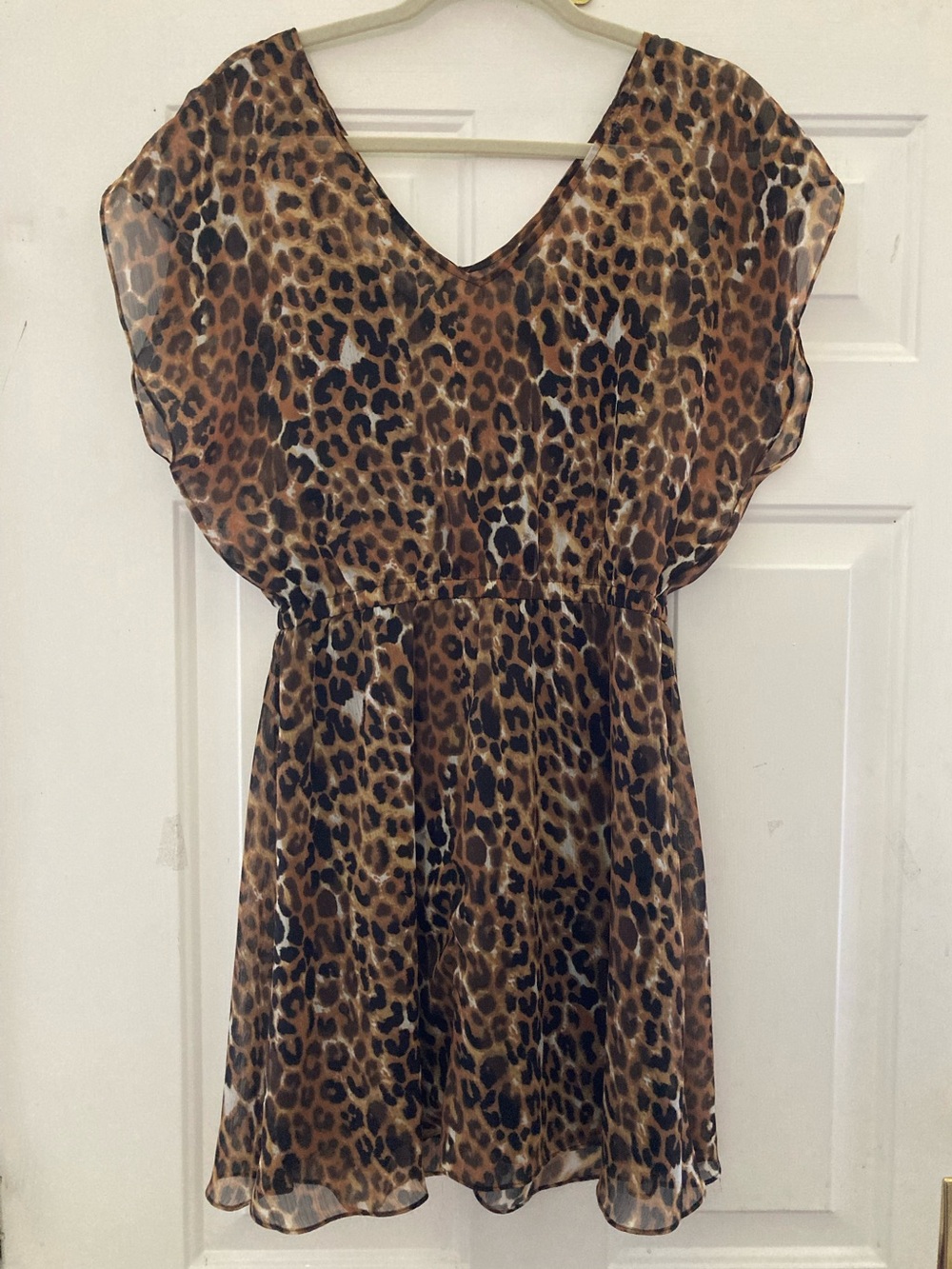 Express Animal Print Dress